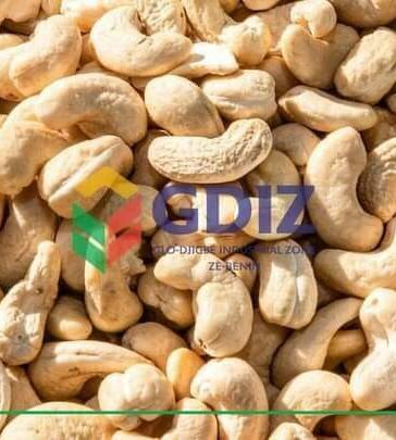 GDIZ, BÉNIN CASHEW