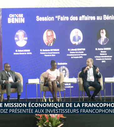 la francophonie à Cotonou : La GDIZ