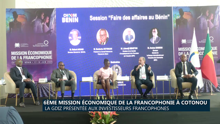 la francophonie à Cotonou : La GDIZ